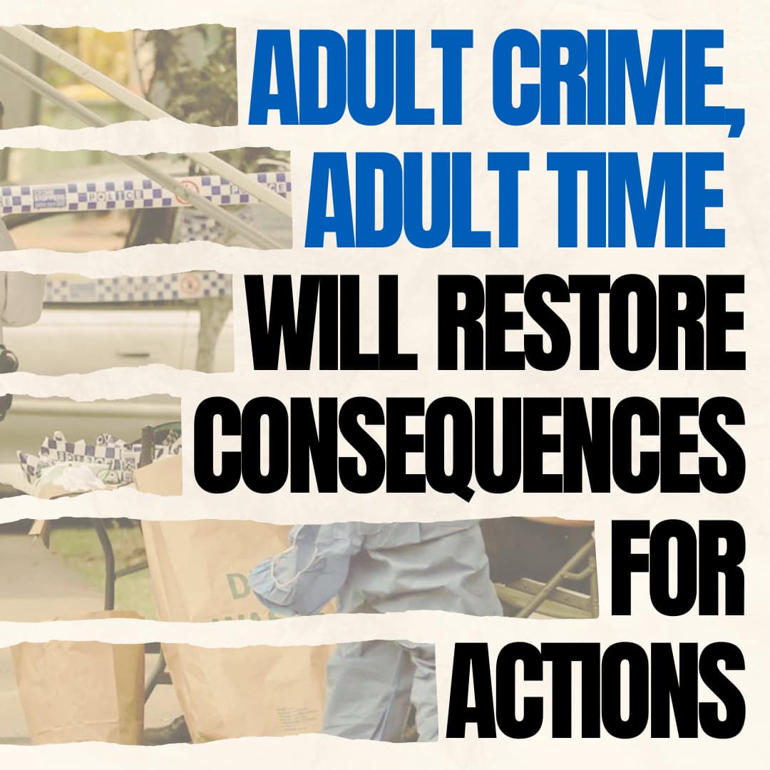 MAKING OUR COMMUNITY SAFER PLAN