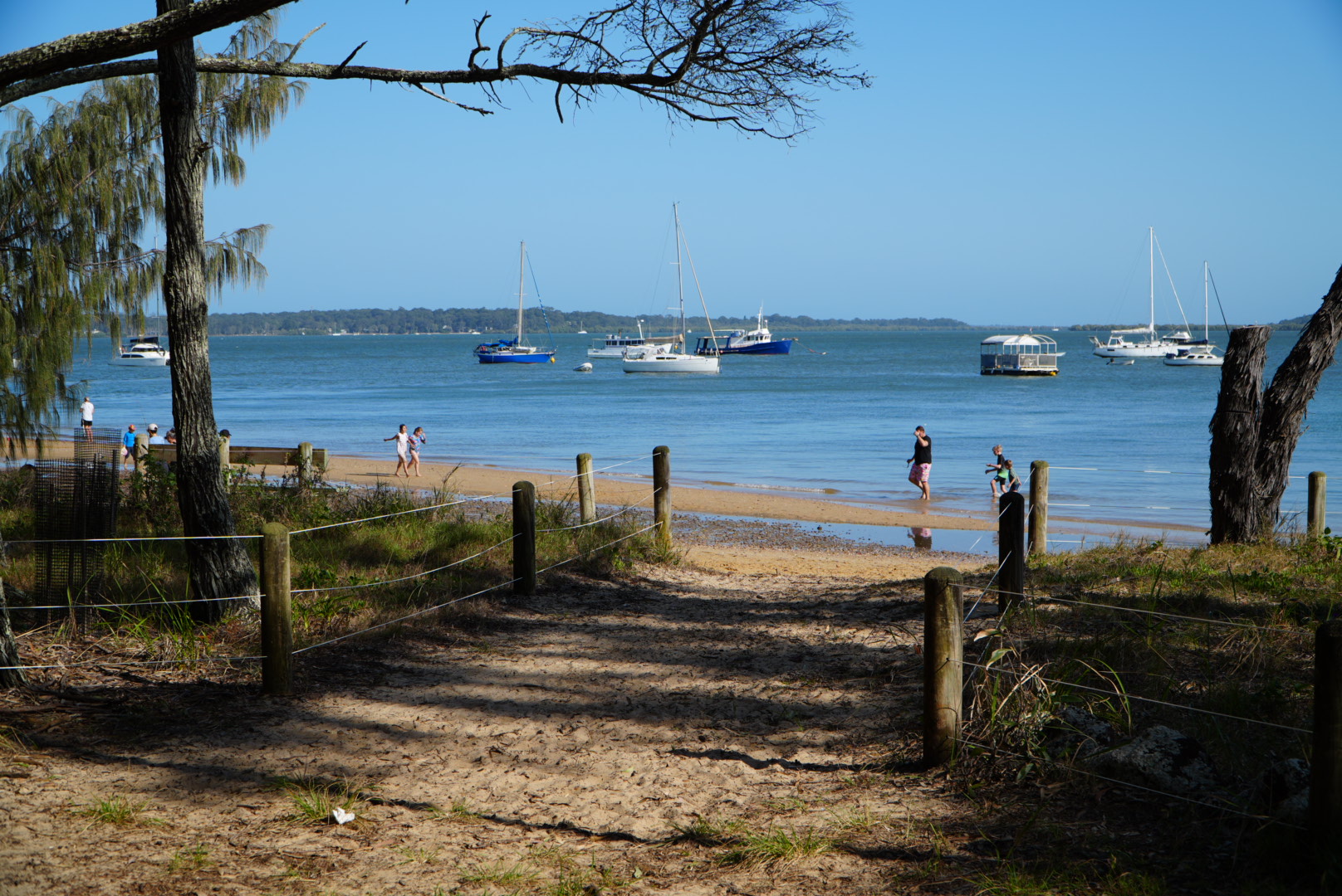 LNP announces major investment for Coochiemudlo Island’s Emerald Fringe