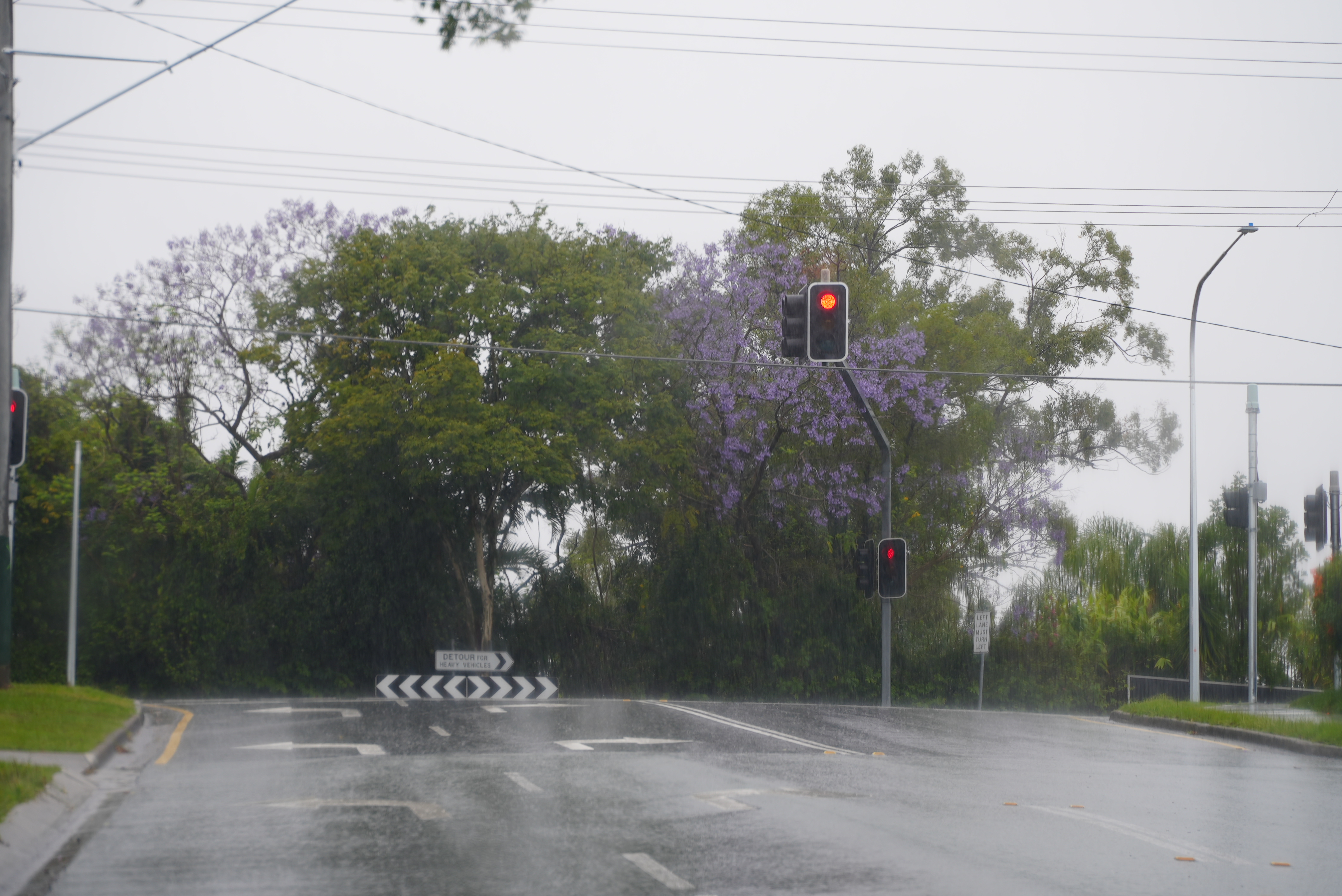 Anti-hooning cameras in Springwood hooning hotspots