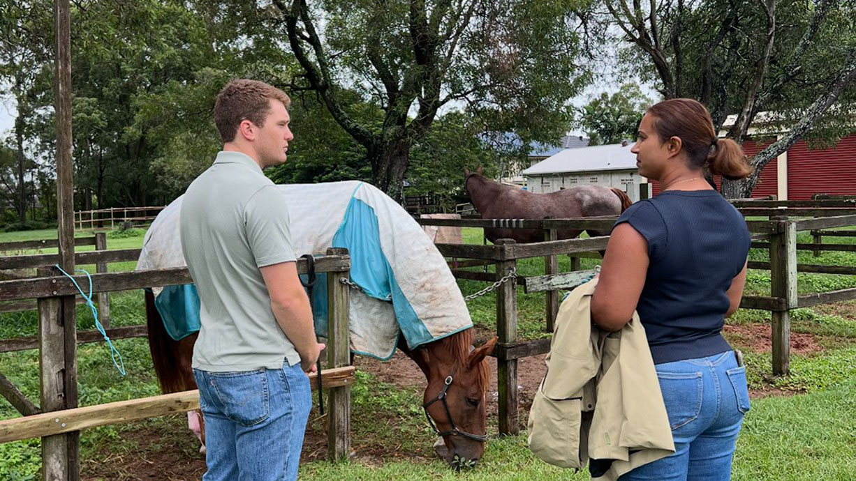 LNP backs Runcorn Pony Club